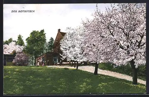 AK Sohland / R., Der Rothstein, Bes. G. Hartmann