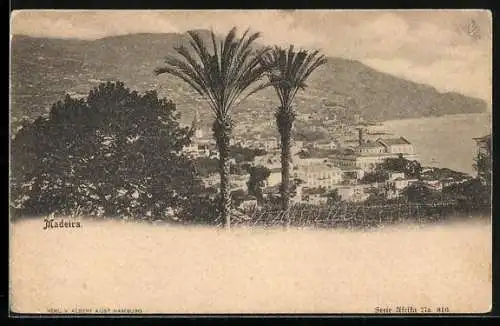 AK Madeira, Blick über den Ort mit Palmen