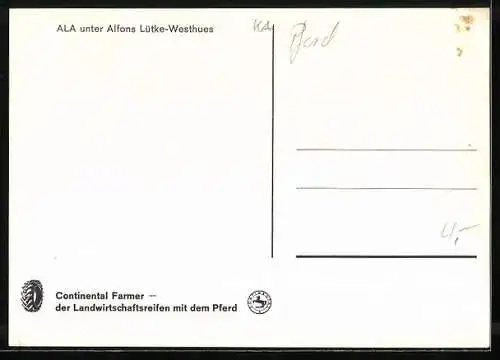 AK Springreiter Lütke-Westhues beim Sprung während eines Rennens