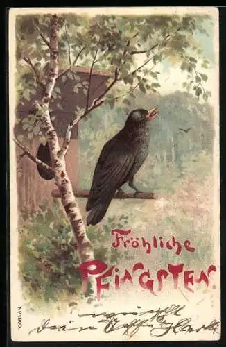 AK singende Amsel am Vogelhaus, Pfingsten