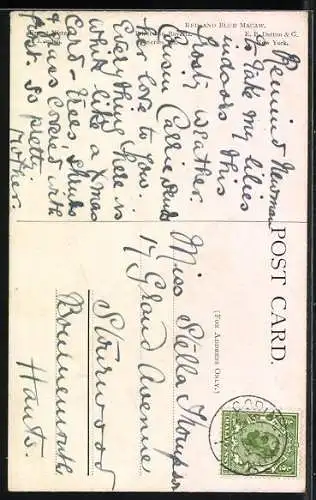 AK Roter Papagei sitzt auf einem Ast