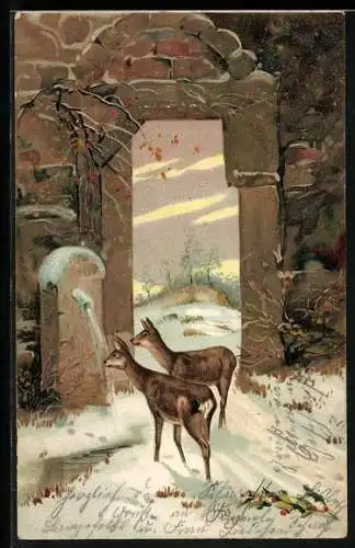 AK Zwei Rehe im Schnee vor einem Tor an einer Quelle