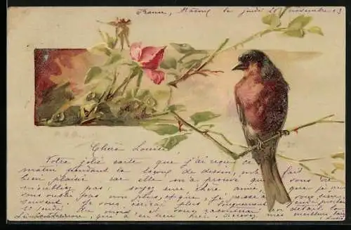 AK Vogel auf dem Zweig einer blühenden Rose