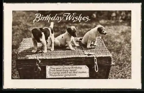 AK Drei Hundewelpen auf einer geflochtenen Truhe, Geburtstagsgruss