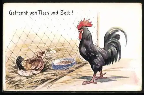 AK Hahn und Huhn, durch einen Maschendraht getrennt