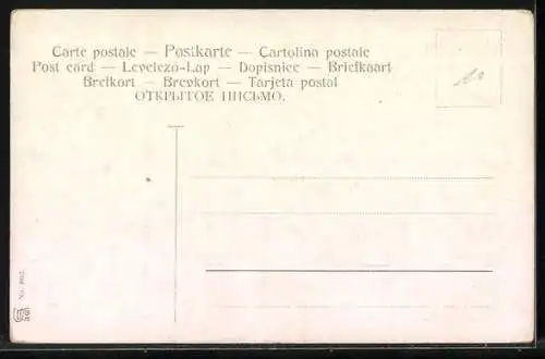 AK Hahn und Huhn, durch einen Maschendraht getrennt