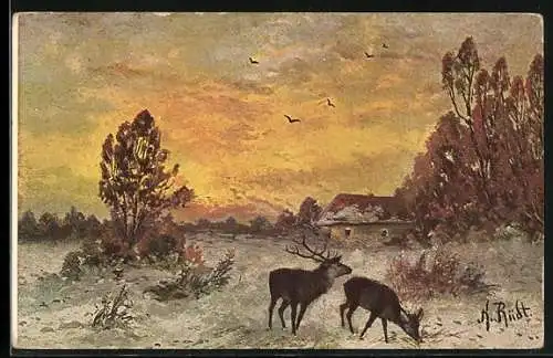 AK Hirsche in einer Winterlandschaft
