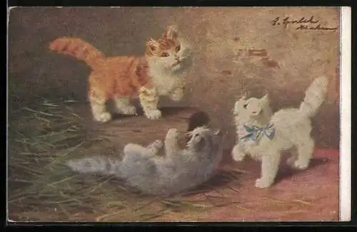 AK Drei kleine Katzen beim Spiel