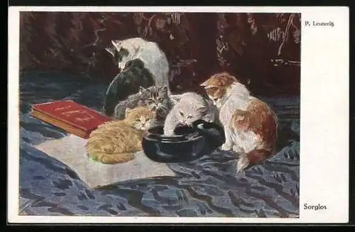 AK Sorglos, Katzenwelpen mit einem Tintenfass