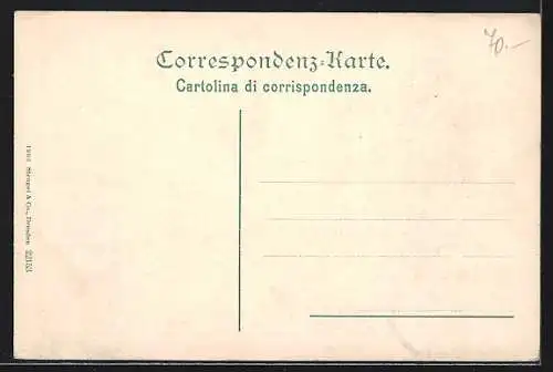 AK Pontebba, Panorama