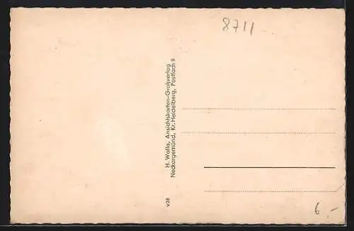 AK Sommerach a. Main, Gasthof zum Schwan, Strassenpartie, Mainpartie, Ringpartie