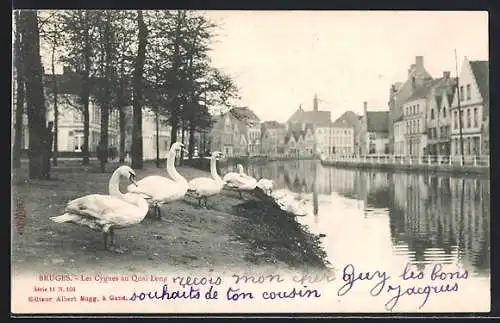 AK Bruges, Les Cygnes au Quai Long