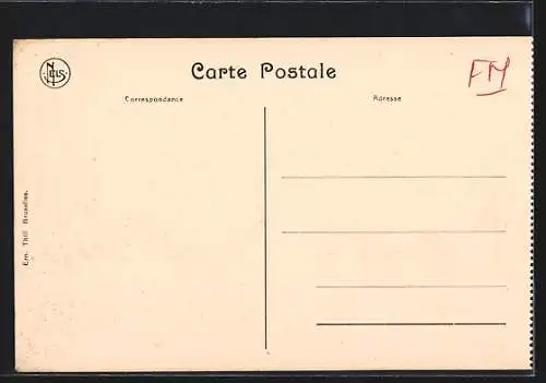 AK Reninghe, Ruines de Reninghe, Chateau historique