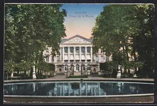 AK Bruxelles, Palais de la Nation