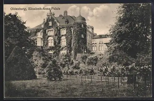 AK Oldenburg / O., Elisabeth-Anna-Palais