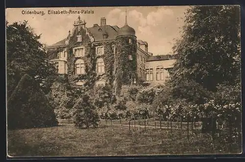 AK Oldenburg / O., Elisabeth-Anna-Palais
