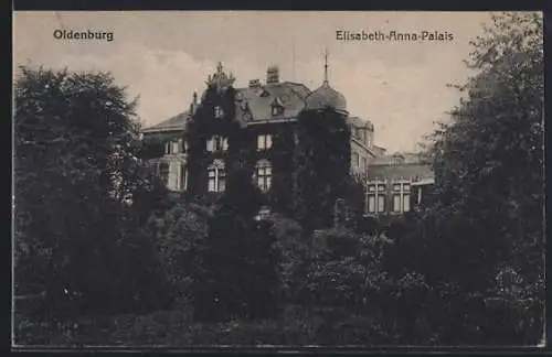 AK Oldenburg / O., Elisabeth-Anna-Palais