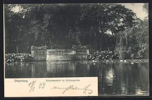 AK Oldenburg / O., Schwanenteich im Schlossgarten