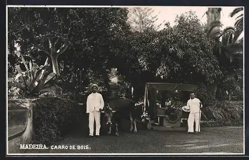 AK Madeira, Carro de Bois