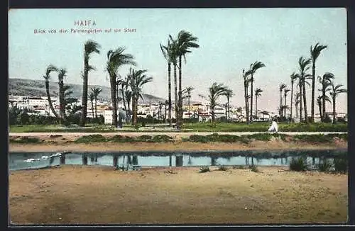 AK Haifa, Blick von den Palmengärten auf die Stadt