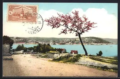 AK Constantinople, Sur les hauteurs