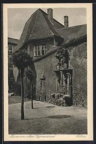 AK Zittau, Ansicht der Mauer am alten Gymnasium