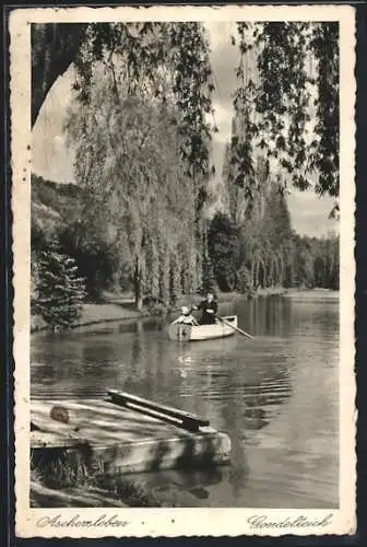AK Aschersleben, Gondelteich mit Ruderboot