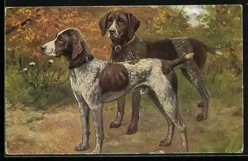 Künstler-AK Zwei Jagdhunde auf einer Waldlichtung