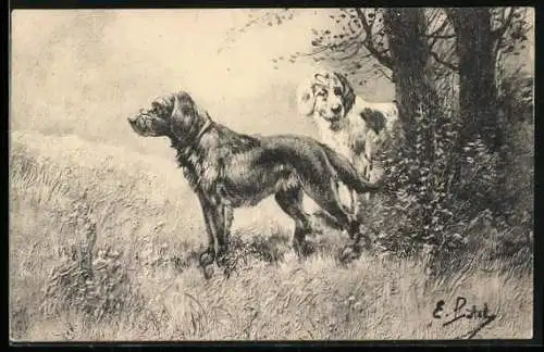 AK Jagdhunde im Wald