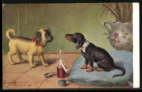AK Dackel auf einem blauen Kissen sitzend, betrachtet einen kleinen Hund