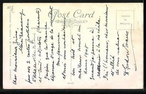 Künstler-AK Hundewelpen, im Regen in einem Korb