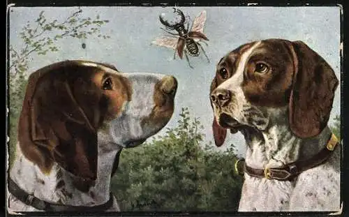 AK zwei Jagdhunde beobachten einen fliegenden Käfer