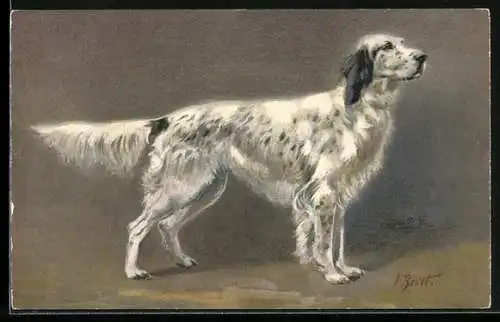 Künstler-AK Weisser Cocker-Spaniel mit schwarzen Tupfen