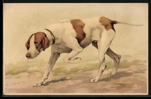 AK Jagdhund auf Spurensuche