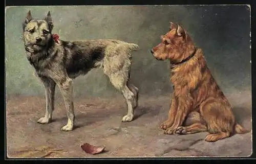 AK Terrier mit Halsbänder auf einem Weg