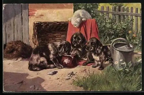 Künstler-AK Dackelwelpen mit kleiner Katze
