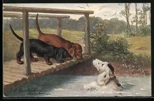Künstler-AK Zwei Dackel auf einer Brücke und Hund im Fluss