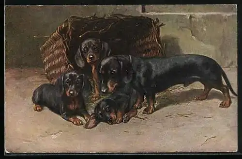 AK Dackel mit Welpen und Körbchen