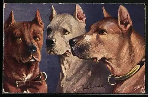 Künstler-AK Boar Hounds, Saurüden, Hunde