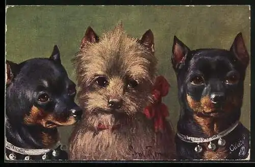Künstler-AK Junger Terrier und Toy Terrier Welpen