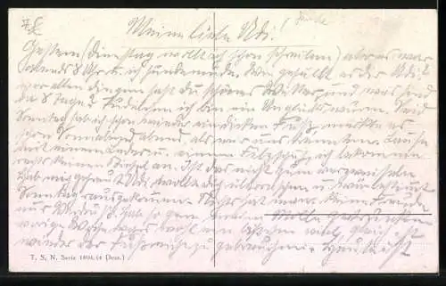 Künstler-AK C.Reichert: Zwei Collies