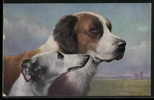 Künstler-AK Carl Reichert: Bernhardiner und Persischer Windhund