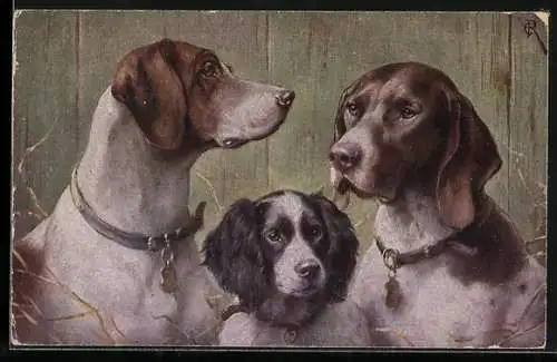 Künstler-AK Carl Reichert: Pointer, Deutscher Vorstehhund und Water Spaniel