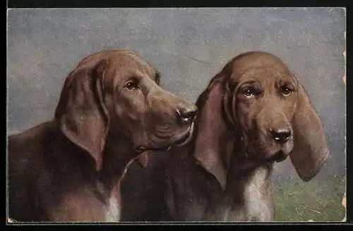 Künstler-AK Carl Reichert: Hundepaar - St. Hubertus-Hunde