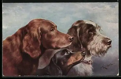 Künstler-AK C. Reichert: Irish Setter, Dackel und Griffon