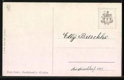 Künstler-AK C. Reichert: Irish Setter, Dackel und Griffon
