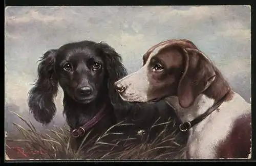 Künstler-AK C.Reichert: Feld-Spaniel & Pointer