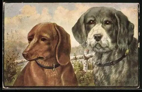 Künstler-AK Dackel mit einem Jagdhund