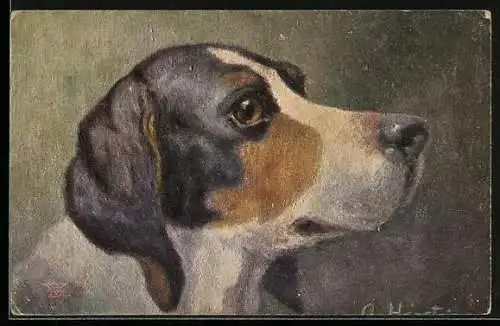 Künstler-AK Kopf eines Beagle im Profil