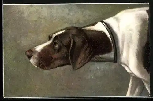 AK Vorsichtig nähert sich ein Jagdhund jemanden